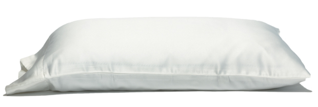 satin-pillowcase-yael-steren