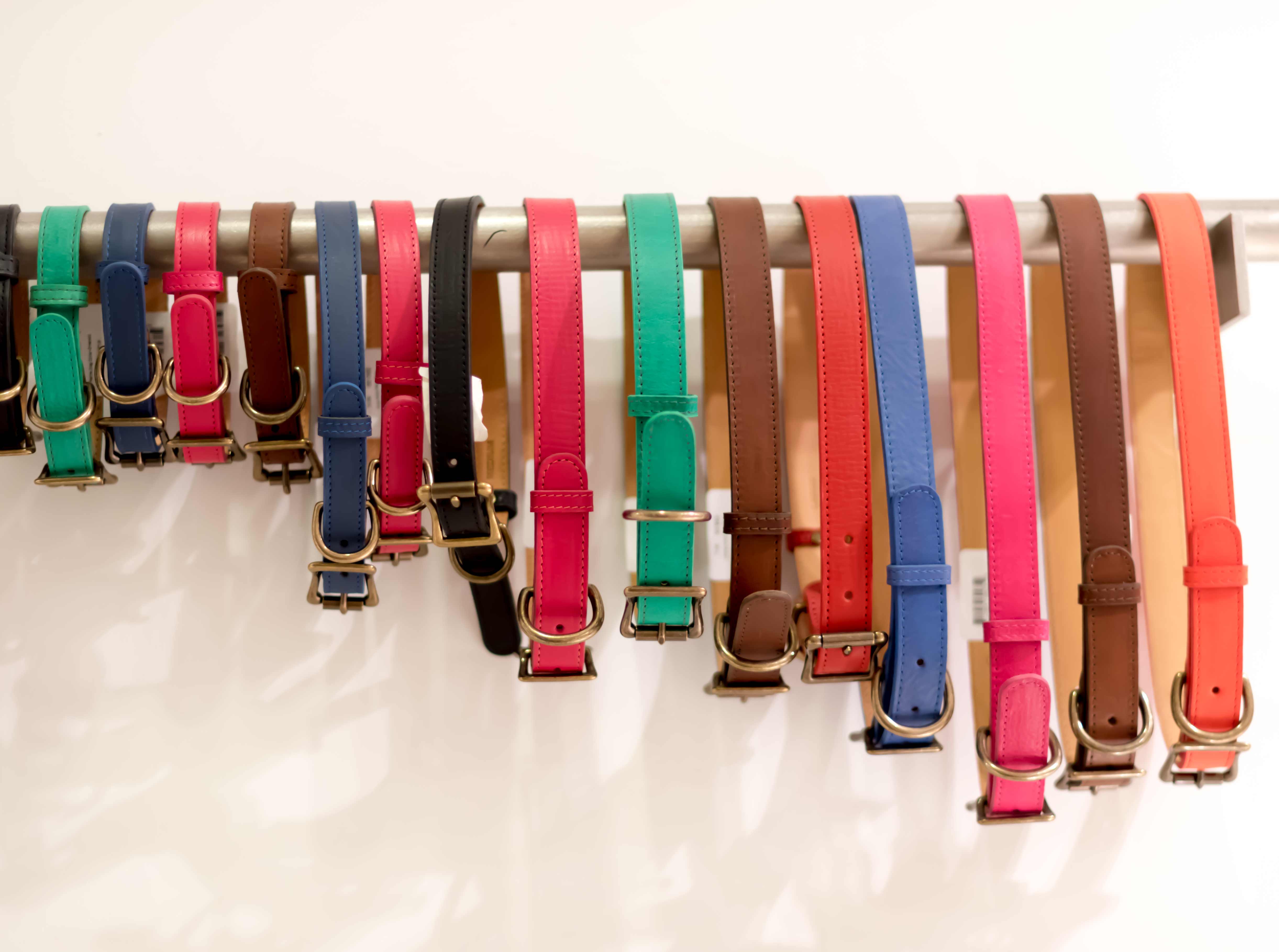 gigi-new-york-dog-collars-yael-steren