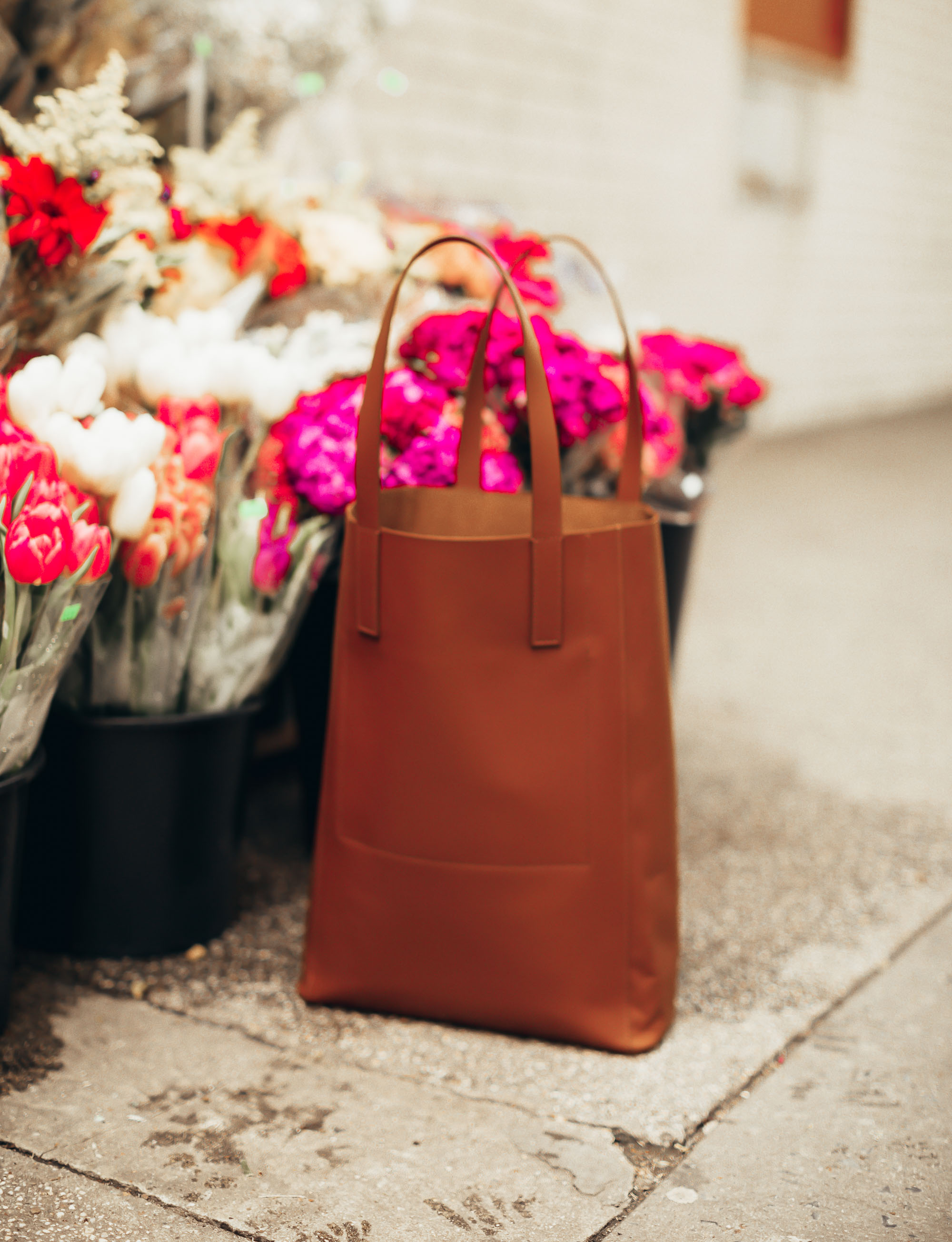 everlane-tote-yael-steren